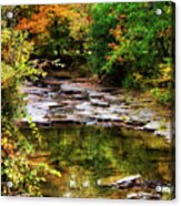 Fall Creek Acrylic Print