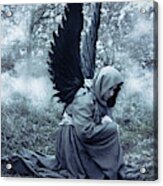 Fallen Angel Acrylic Print