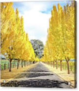 Far Niente Driveway Acrylic Print