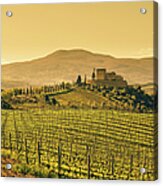 Farm Tuscany Vineyard Acrylic Print