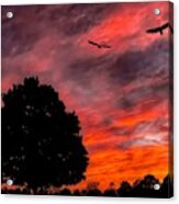 Fire In The Sky Acrylic Print