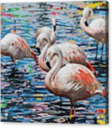 Flamingos #4 Acrylic Print