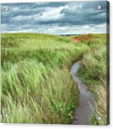Flooded Dune Path After Dorian Acrylic Print