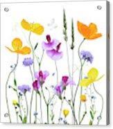 Floral Garden Acrylic Print
