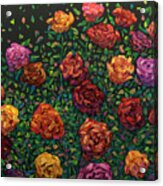 Floral Interpretation - Roses Acrylic Print