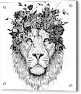 Floral Lion Acrylic Print