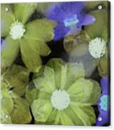 Flores Congeladas 631-edit Acrylic Print