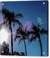 Florida Palms And Sun Acrylic Print