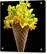 Flower Ice Cream Cone Acrylic Print