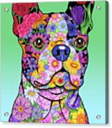 Flowers Boston Terrier Acrylic Print
