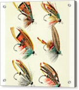 Fly Fishing Lures 3 Acrylic Print