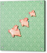 Flying Pig Ornaments On Wallpapered Acrylic Print
