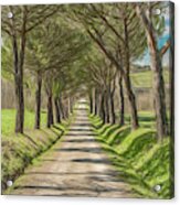 Follow The Tuscan Road Acrylic Print