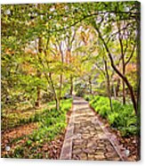 Footpath Acrylic Print