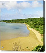 Forest And Tropical Beach At Low Tide Acrylic Print