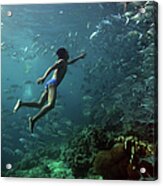 Freediver Swims With Jack Fish At Acrylic Print