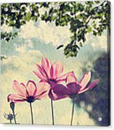 French Wild Flowers Acrylic Print