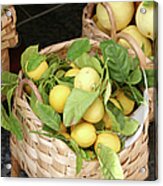 Freshly Picked Lemons In A Basket Acrylic Print