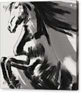 Rising Horse Acrylic Print