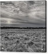 Frosty Hay Field Black And White Acrylic Print