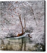 Frosty Pond Acrylic Print