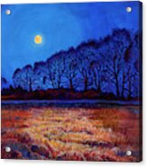 Full Moon Acrylic Print