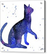 Galaxy Cat Acrylic Print
