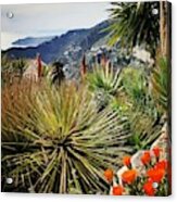 Garden Of Eze Acrylic Print