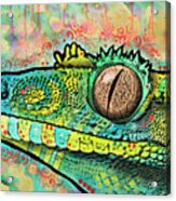 Gecko Acrylic Print