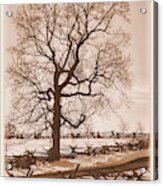Gettysburg At Rest - Winter Blanket No. 1 Across The Wheatfield Road Near The Peach Orchard Acrylic Print