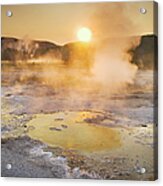 Geyser Basin Sunrise, Yellowstone Acrylic Print