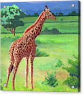 Giraffe Acrylic Print