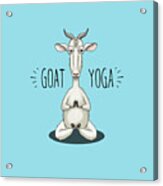 Goat Yoga - Meditating Goat Acrylic Print