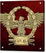 Gold Roman Imperial Eagle -  S P Q R  Special Edition Over Red Velvet Acrylic Print