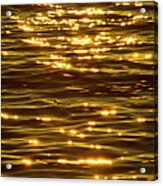 Gold Sea Acrylic Print