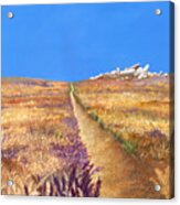 Golden Fields Acrylic Print