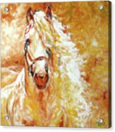 Golden Grace Andalusian Equine Acrylic Print