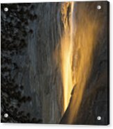 Golden Waterfall Acrylic Print