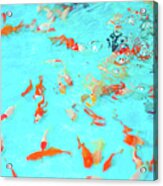 Goldfishes In Water Acrylic Print