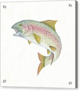 Gone Fishin Rainbow Acrylic Print