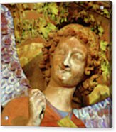 Gothic Architecture, The Angel With A Smile Acrylic Print