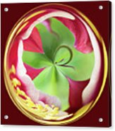 Green And Red Flower Orb Image Acrylic Print