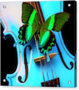 Green Butterfly On Blue Violin Acrylic Print