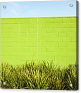 Green Wall With Plants Acrylic Print