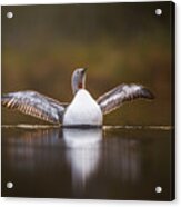 Greeting The Morning With Open Arms Acrylic Print
