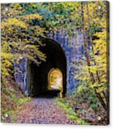 Guest River Gorge Tunnel Acrylic Print