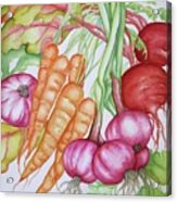 Harvesting Vegetables Acrylic Print