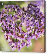 Heart Of Sea Lavendar Acrylic Print