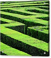 Hedge Maze In Barcelona Laberint Dhorta Acrylic Print