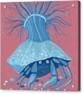 Hermit Crab, Pink Blue Series Acrylic Print